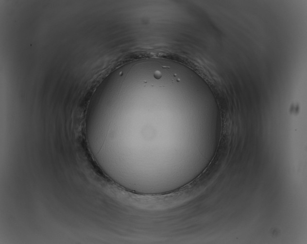 X0000090960030200708241203