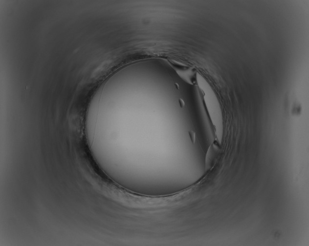 X0000090960031200708241203