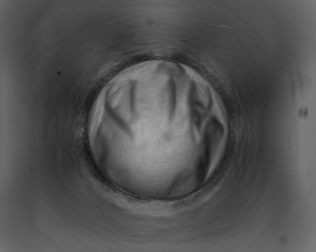 X0000090960032200708241203