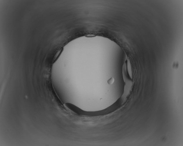 X0000090960033200708241203