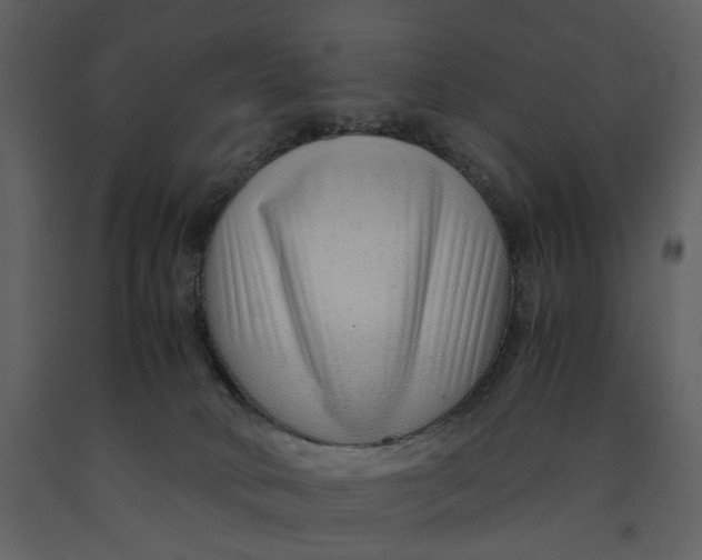 X0000090960034200708241203