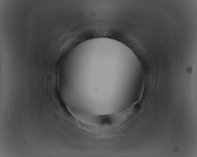 X0000090960035200708241203