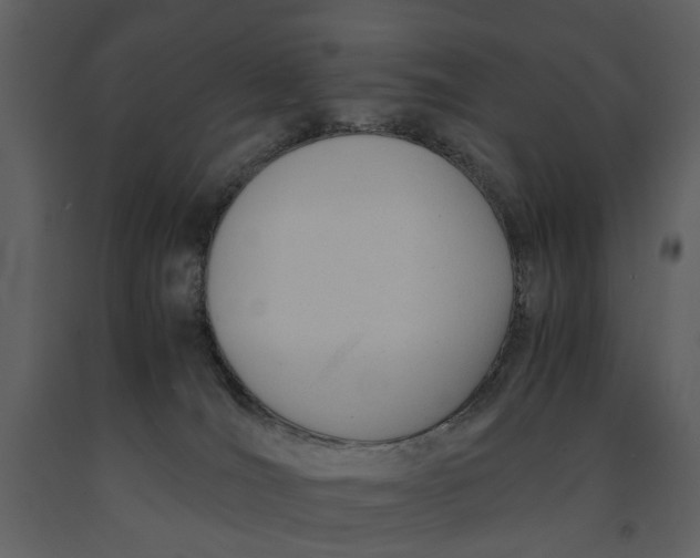 X0000090960036200708241203