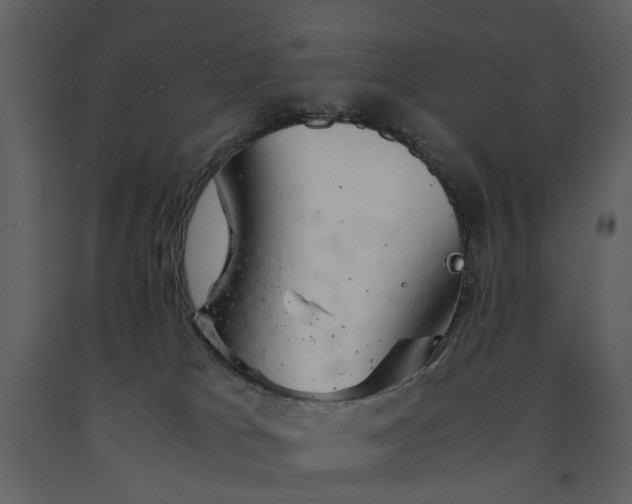 X0000090960037200708241203