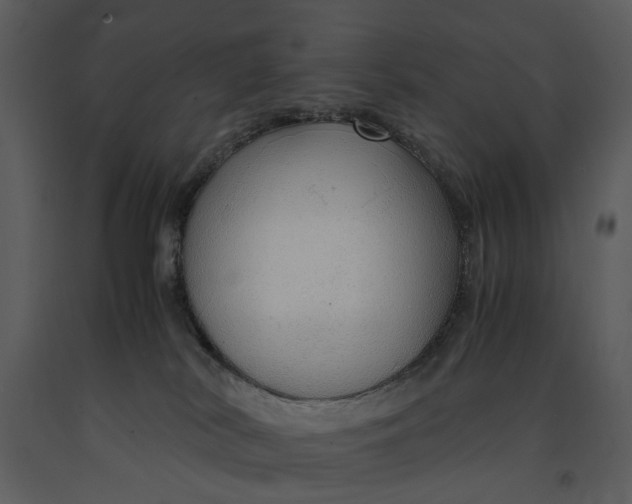 X0000090960038200708241203