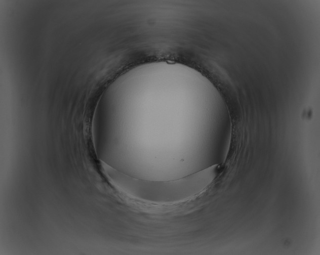 X0000090960039200708241203