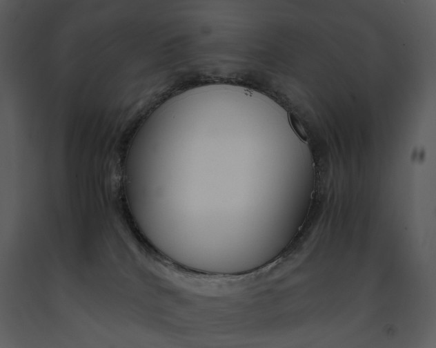 X0000090960040200708241203