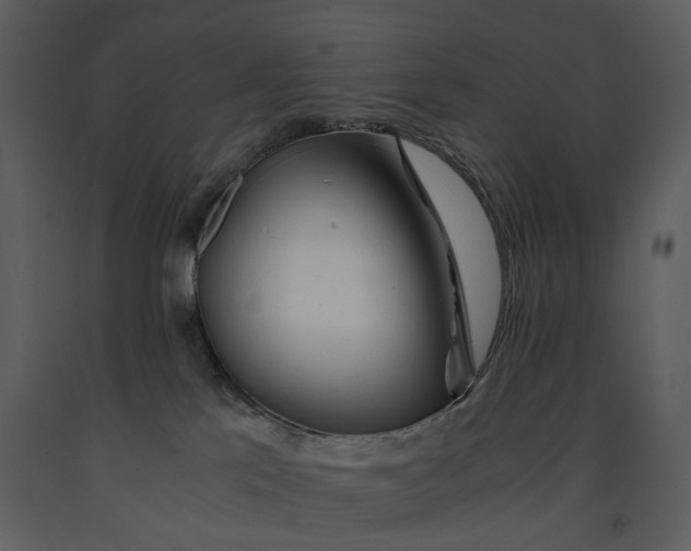 X0000090960041200708241203