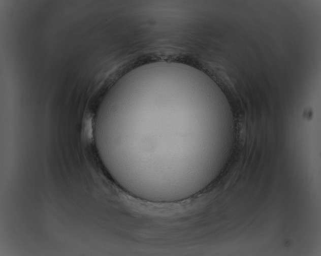 X0000090960042200708241203