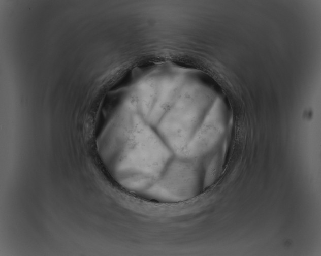 X0000090960043200708241203