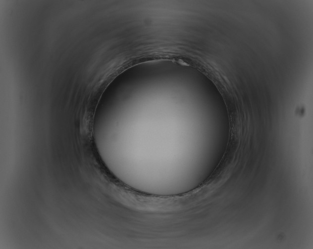 X0000090960044200708241203