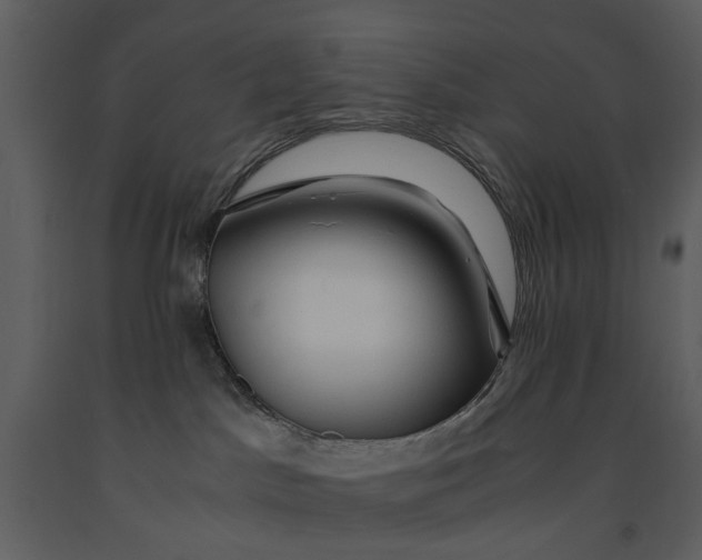 X0000090960045200708241203