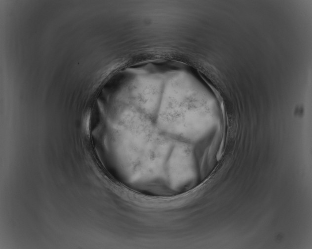 X0000090960047200708241203