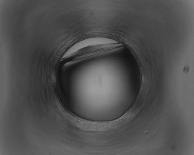 X0000090960048200708241203