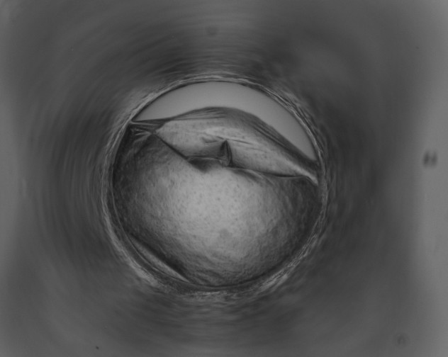 X0000090960049200708241202