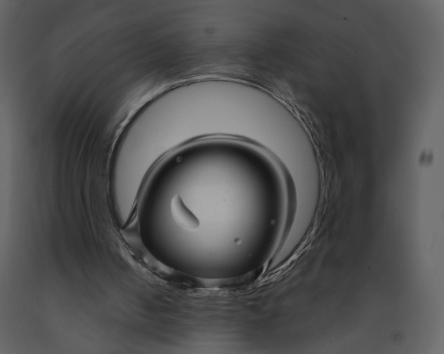 X0000090960050200708241202