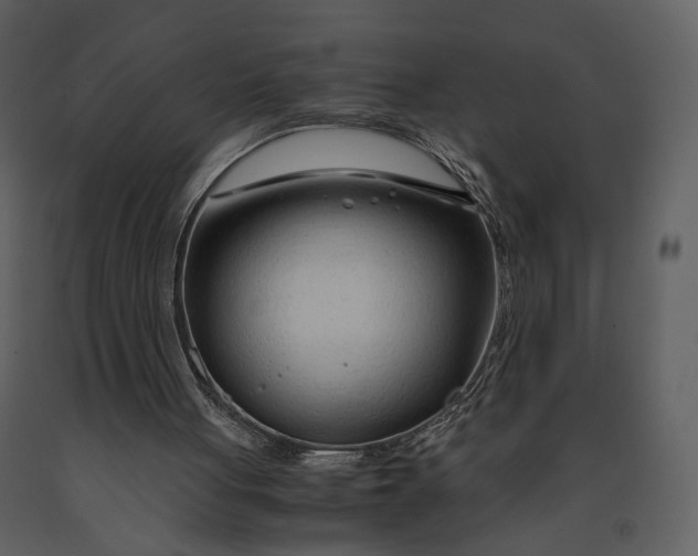 X0000090960051200708241202