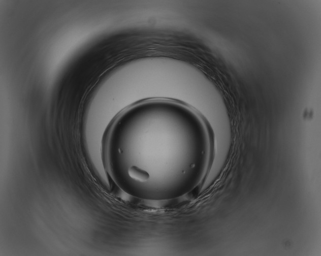 X0000090960052200708241202