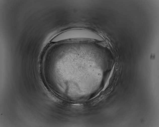 X0000090960053200708241202