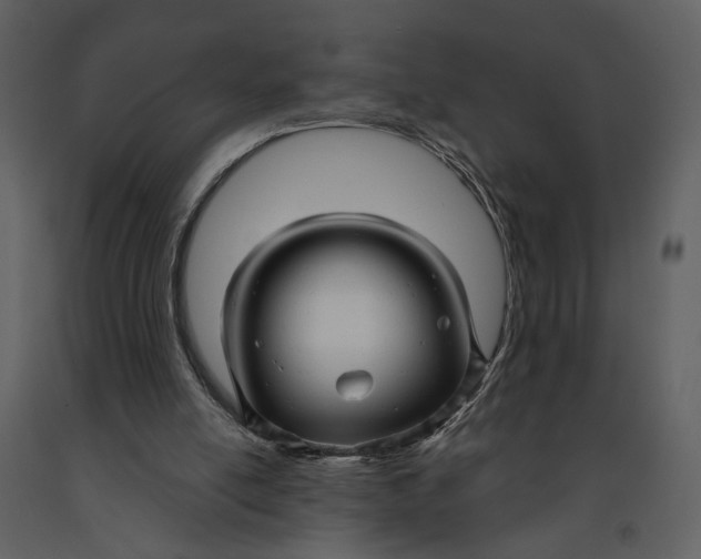 X0000090960054200708241202