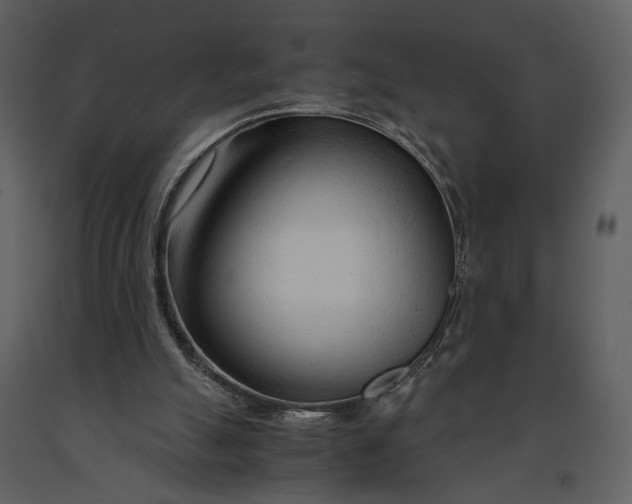 X0000090960055200708241202