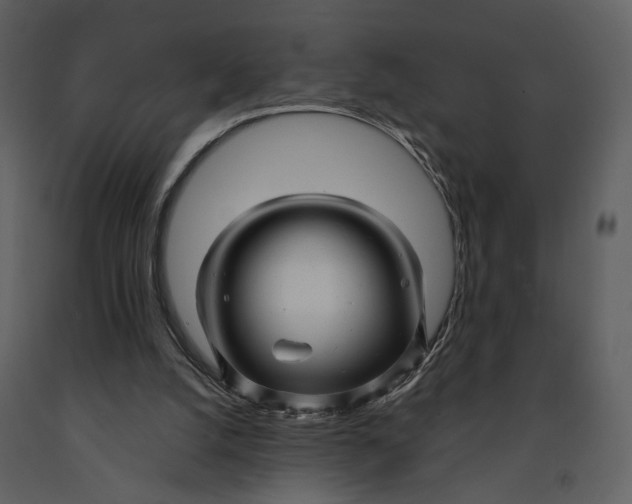 X0000090960056200708241202