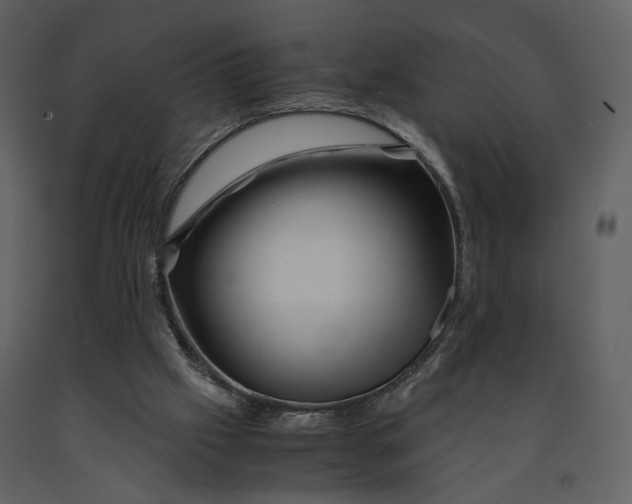 X0000090960057200708241202