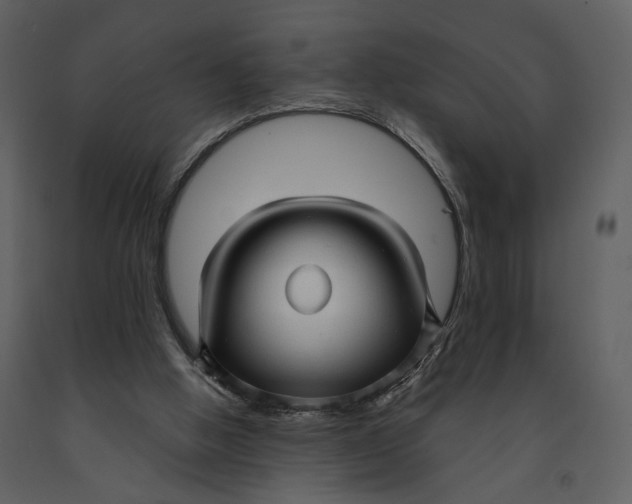 X0000090960058200708241202