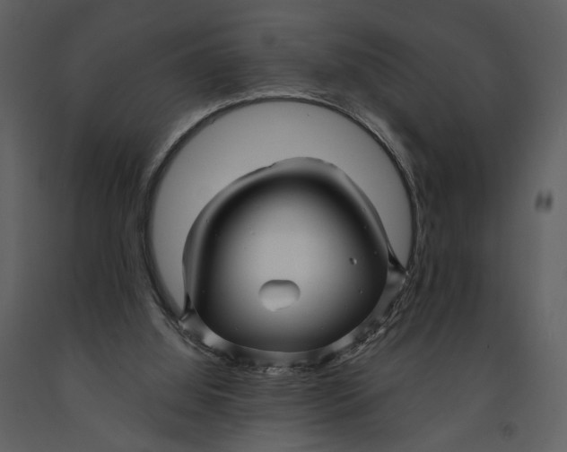 X0000090960060200708241202