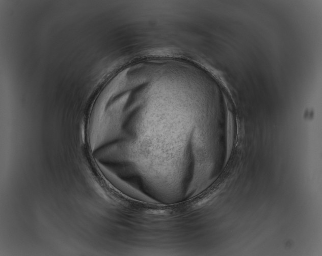 X0000090960061200708241202