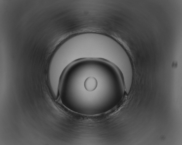 X0000090960062200708241202