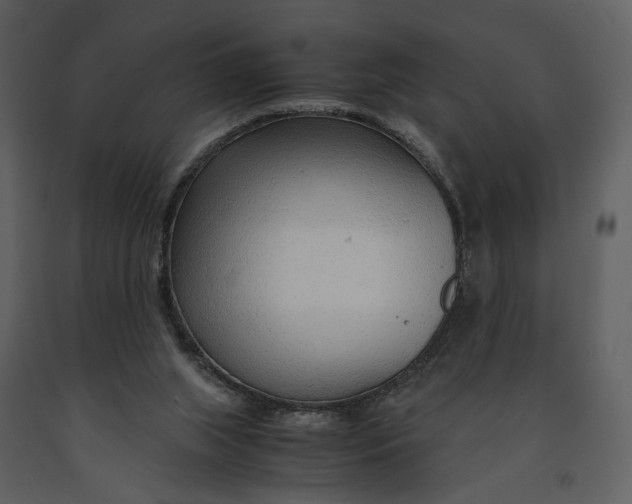 X0000090960063200708241202