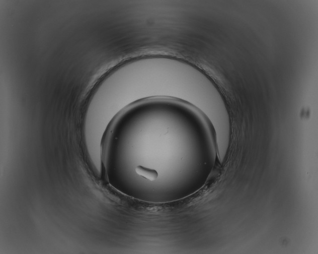 X0000090960064200708241202