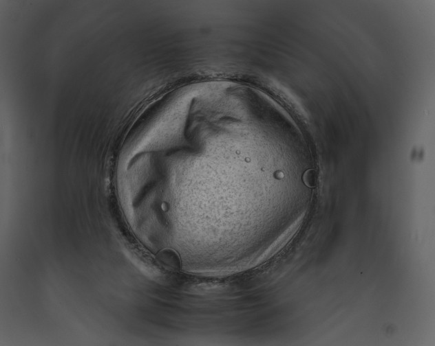 X0000090960065200708241202