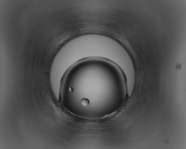 X0000090960066200708241202