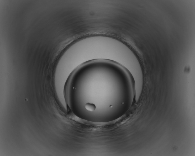 X0000090960068200708241202