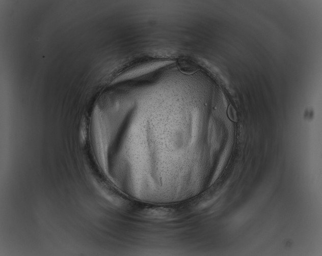 X0000090960069200708241202