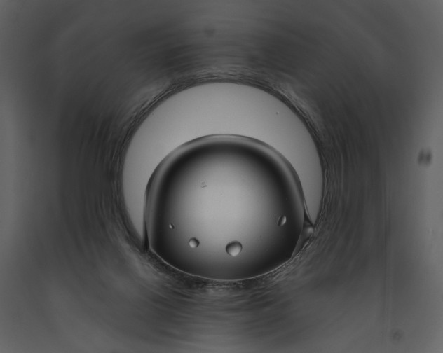 X0000090960070200708241202