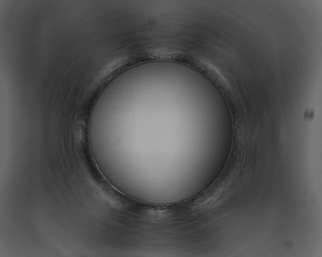 X0000090960071200708241202