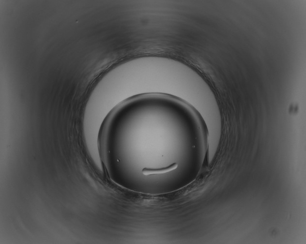 X0000090960072200708241202