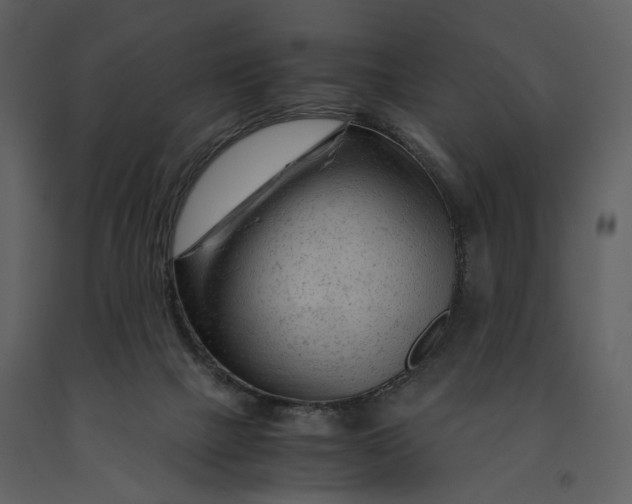 X0000090960073200708241202