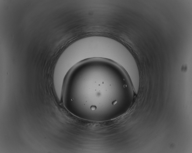 X0000090960074200708241202