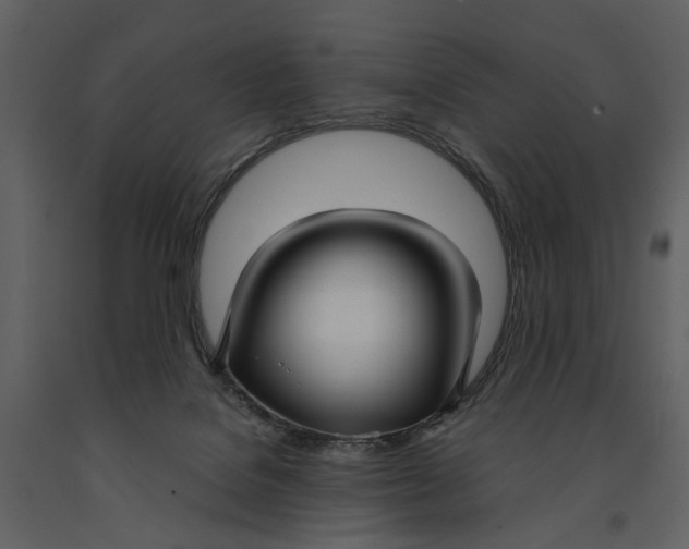 X0000090960076200708241202