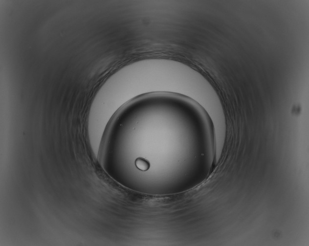 X0000090960078200708241202