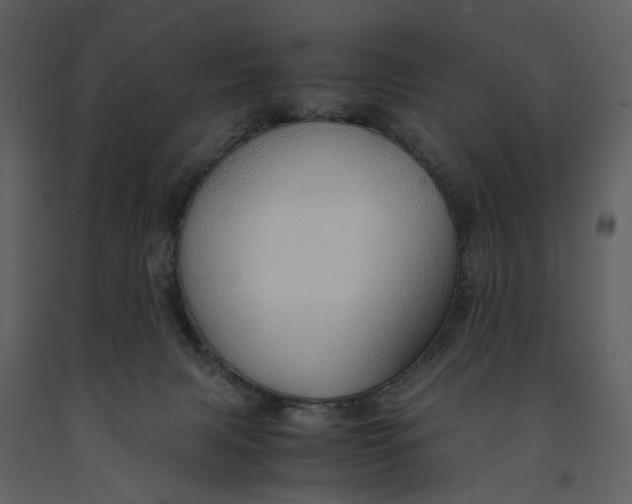 X0000090960079200708241202