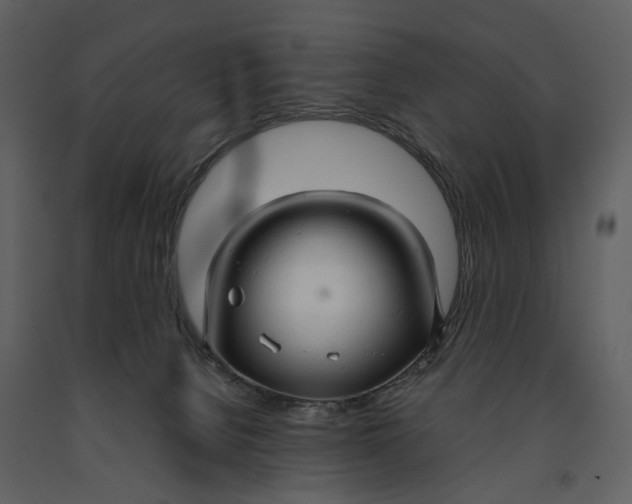 X0000090960080200708241202