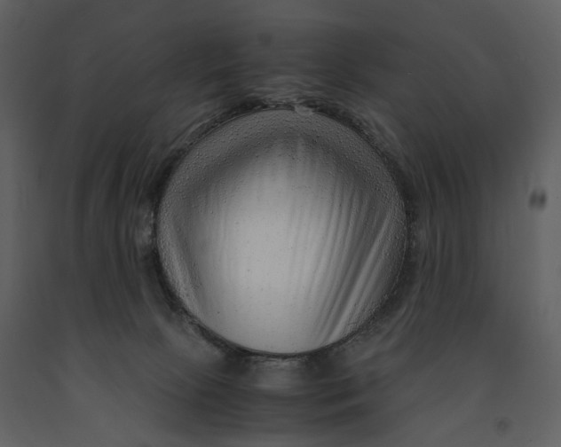 X0000090960081200708241202