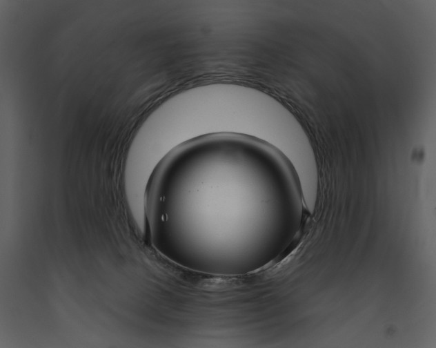 X0000090960082200708241202