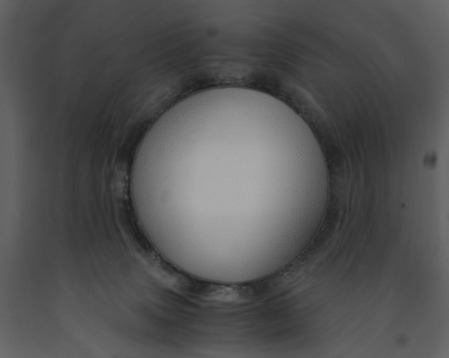 X0000090960083200708241202