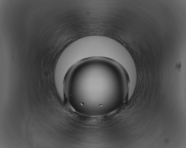 X0000090960084200708241202